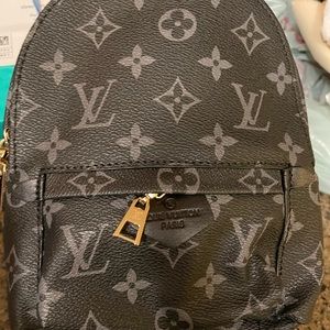 Louis Vuitton Palm Springs small backpack- new